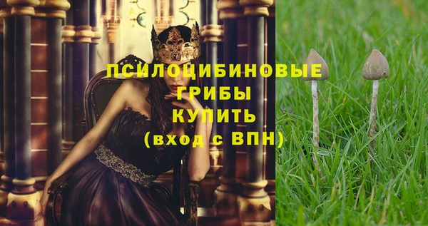 ECSTASY Абинск