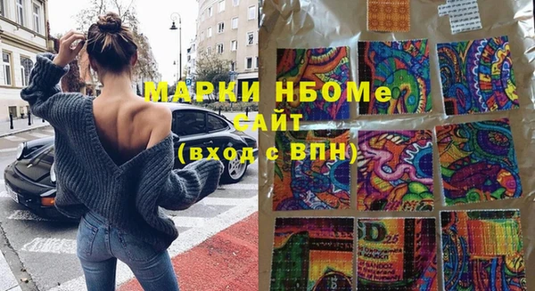 сатива Новодвинск