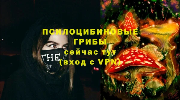 амф Алексеевка
