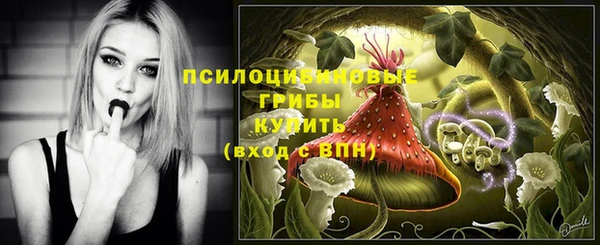 гашик Абаза