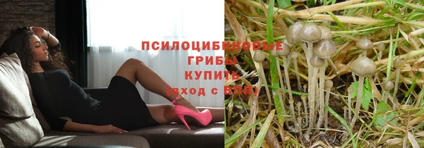 гашик Абаза