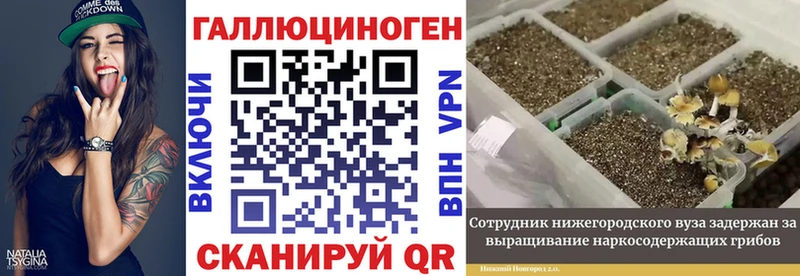 Галлюциногенные грибы MAGIC MUSHROOMS  Энем 